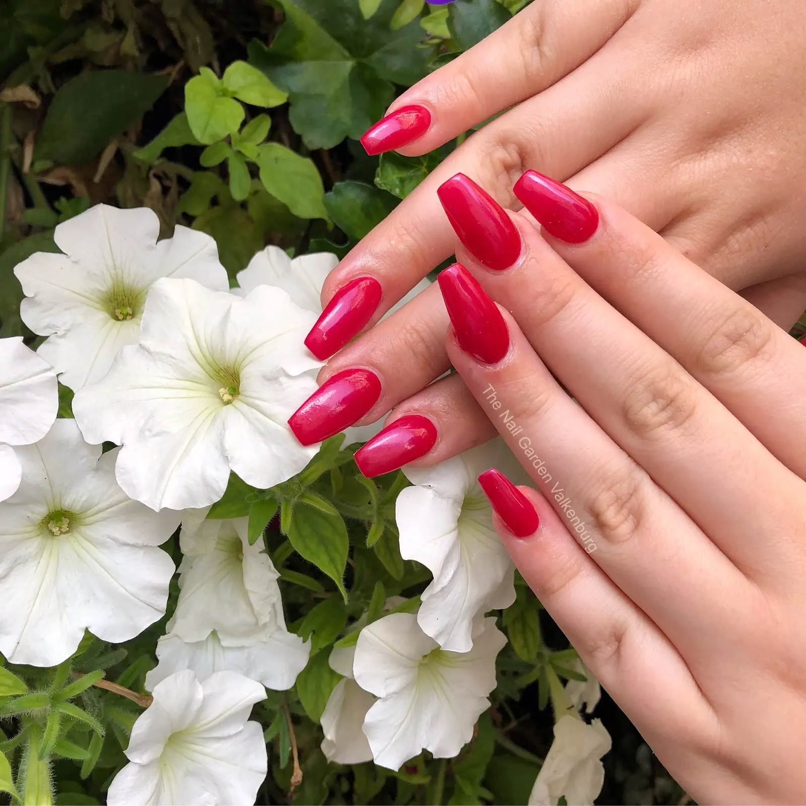 Rode coffin nagels tussen witte bloemen